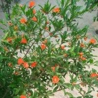 尉迟琳丰