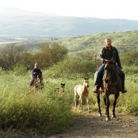 Avner Talmon