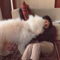 김도은