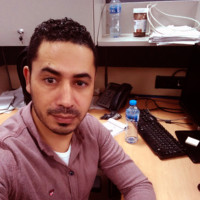 Gamal Harb