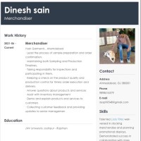 Dinesh sain
