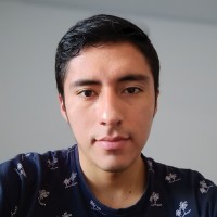 Diego Alexander Ocaña L.