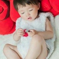 李鸿丽
