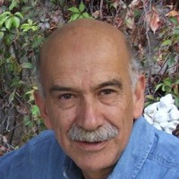 Luis Fernando Goya N.