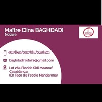 Dina Baghdadi