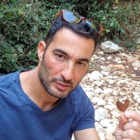 Roi Azarya