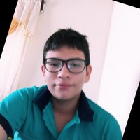 Jesús Alexander Vallecillo Montiya