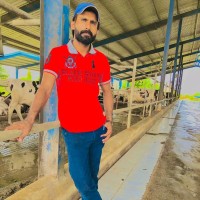 jaber Ali