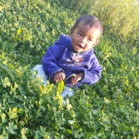 Deepak Raj Chaudhary