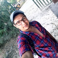 Gordo Bebe