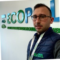 Marco Morelli