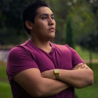 Edwin David Mamani Aranda