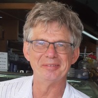 Willem Bogaard