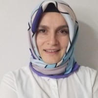 Muzeyyen Alan