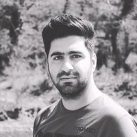 Reza Mohamadi