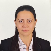 Shairy Henein, Msc