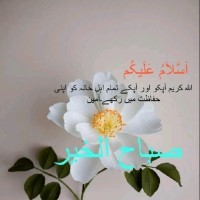 Abdul wahid