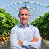 Damien English T.D.