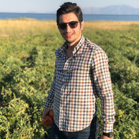 Abdullah Ayan