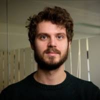 Bram Dijkstra