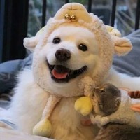 余玉婷