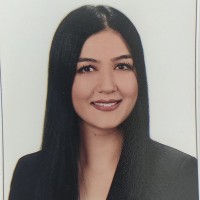 Ebru Yücel Közleme