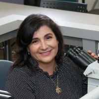 Ingrid D Pardo