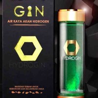 GIN INTERNATIONAL