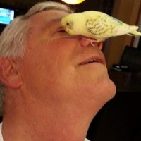 Hamilton Jerry