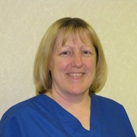 Debbie Tollafield