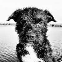 Immo Carsten Reichardt