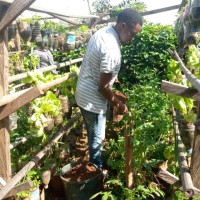 Dzelamunyuy Ghislain Simuben