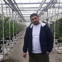 Mohammad Bashabsheh