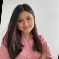 Priscilla Ticlla Castillo