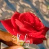Preethi Smiley