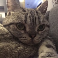 牟相霖