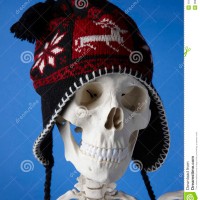 Skeleton Bones