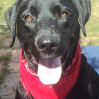 Jeimy Calle Queens Rc