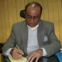zaidi sattar