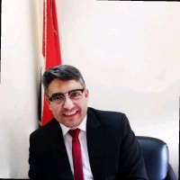 Tamer Eletr