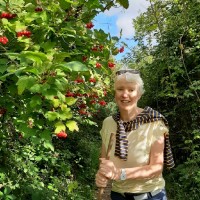 Jenny O'Connor