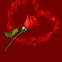 Bishal Mind