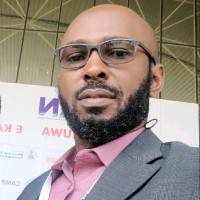 Obinna Udengwu (Bsc. Acc.), (Mba),(Fca), (Acti)
