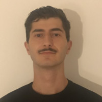 Damir Durmic