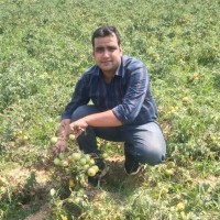 Ankit Tripathi