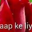 Md Shree