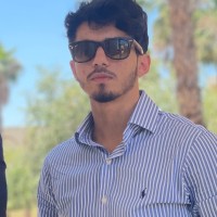 Mouad D.