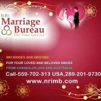 Humanlinks bhullar