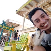 Steve Rendon