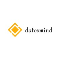 The Datosmind Team